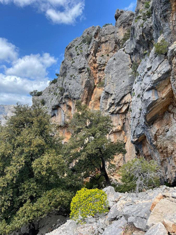 Apartament Casa Vacanze Sa Piazza Dorgali Zewnętrze zdjęcie